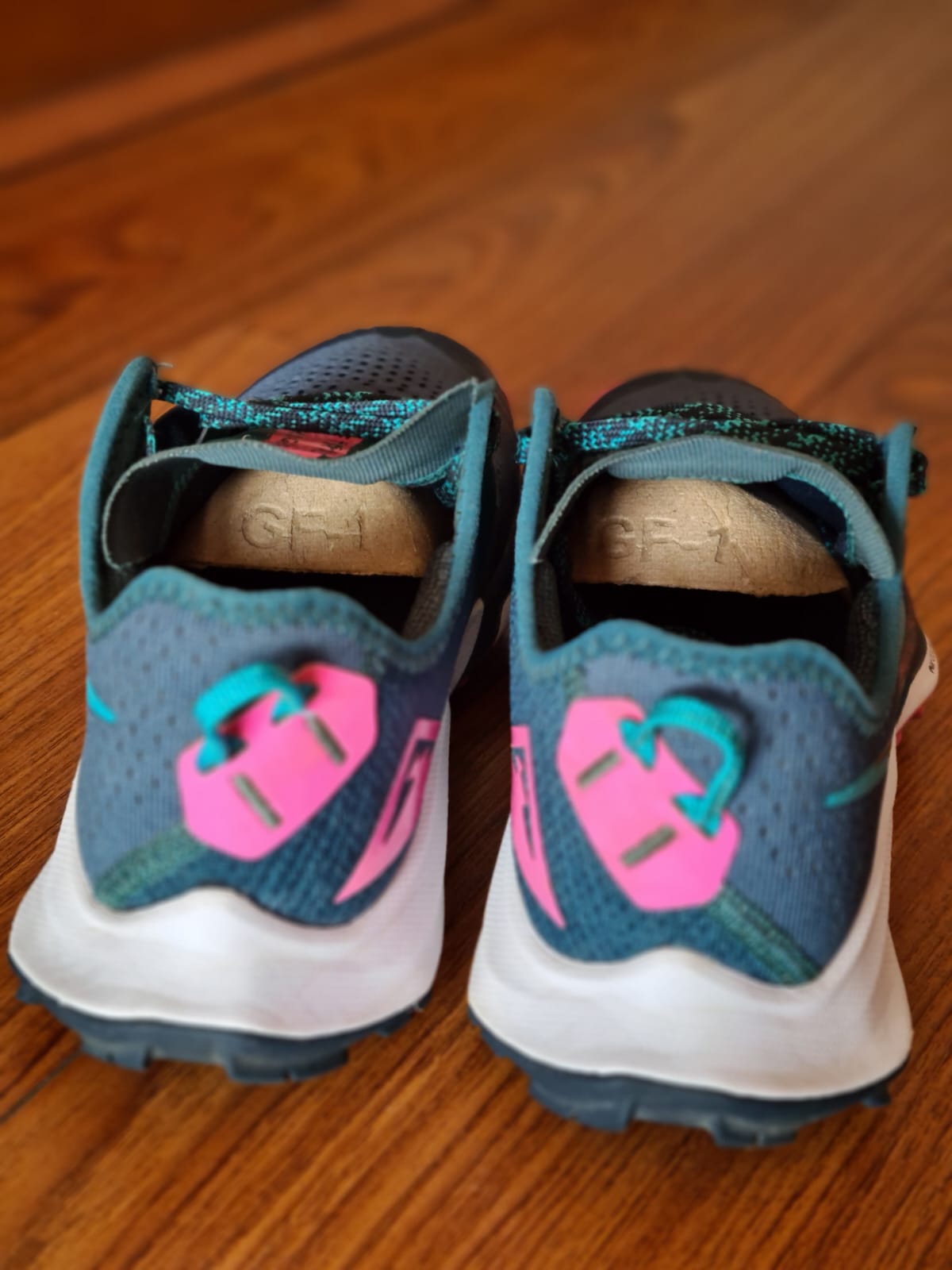 Zapatillas W Nike Air Zoom Terra Kiger 7