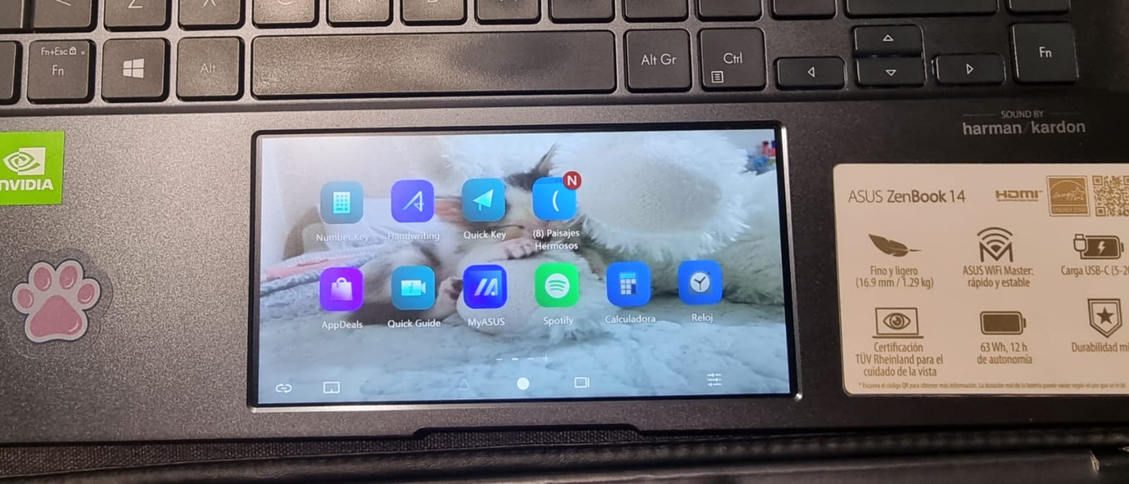 Asus Zenbook 14 UX435EG 16gb RAM - Imagen 3
