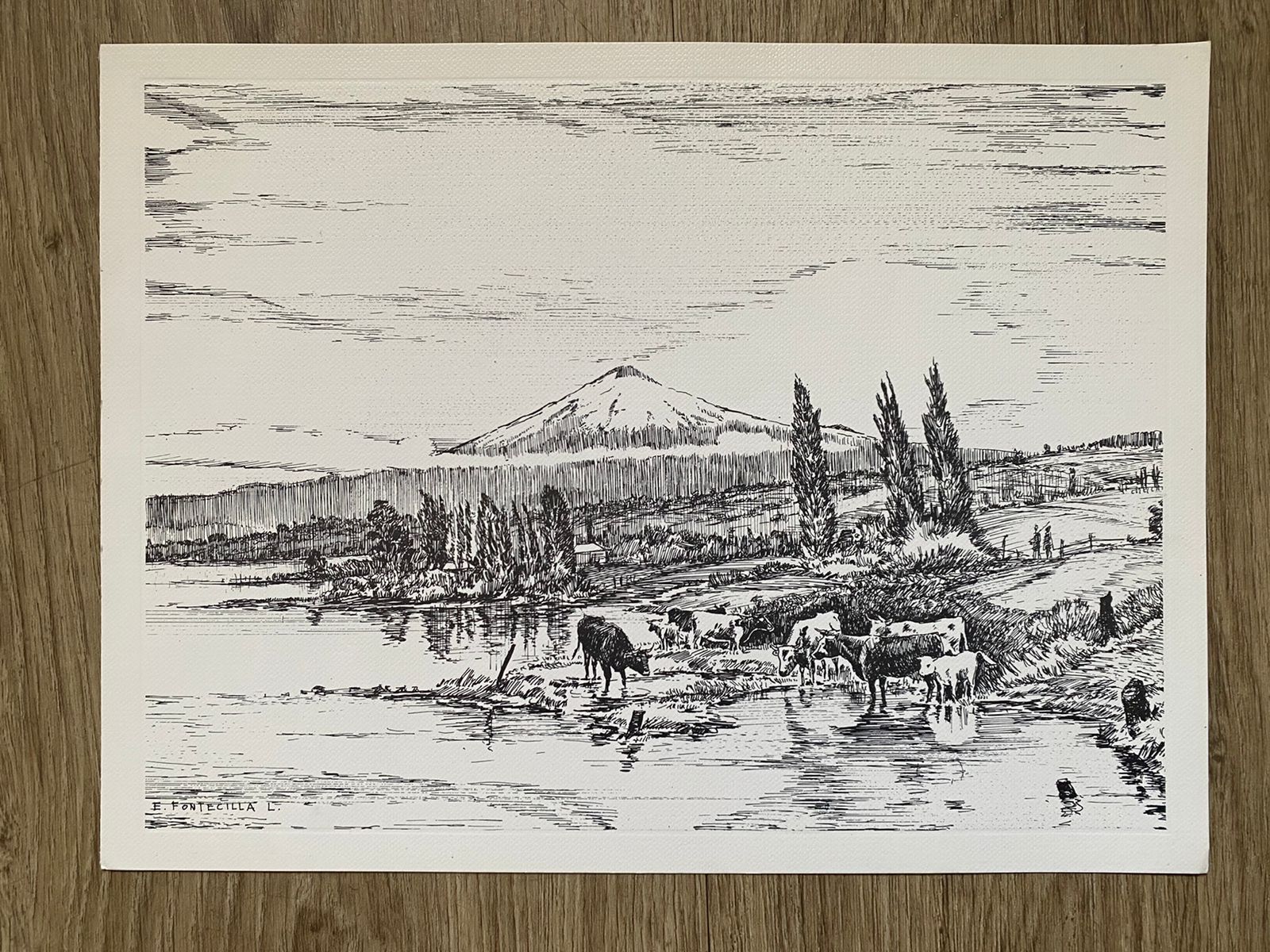 5 Láminas impresas Fontecilla - Imagen 3