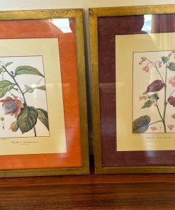 Láminas impresas enmarcadas