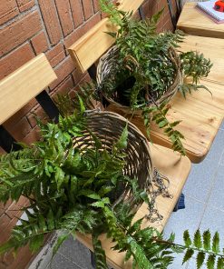 Maceta colgante con helecho artificial