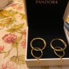 Aros Pandora plata esterlina