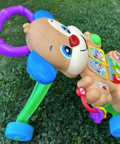 Caminador andador perrito con luces Fisher Price