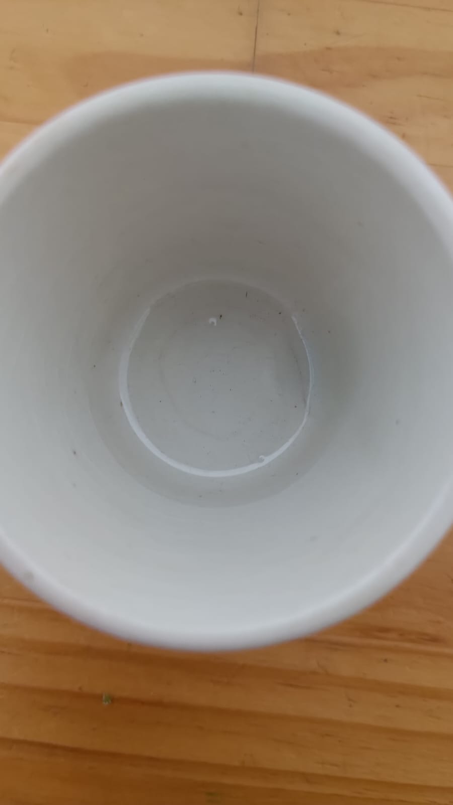 Tazas Lozapenco 4 piezas - Imagen 4