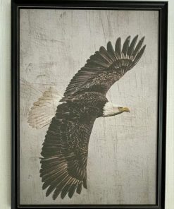 Cuadro águila en lino