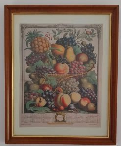 Cuadro lámina enmarcada frutas