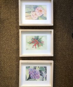 Trío de láminas florales enmarcadas