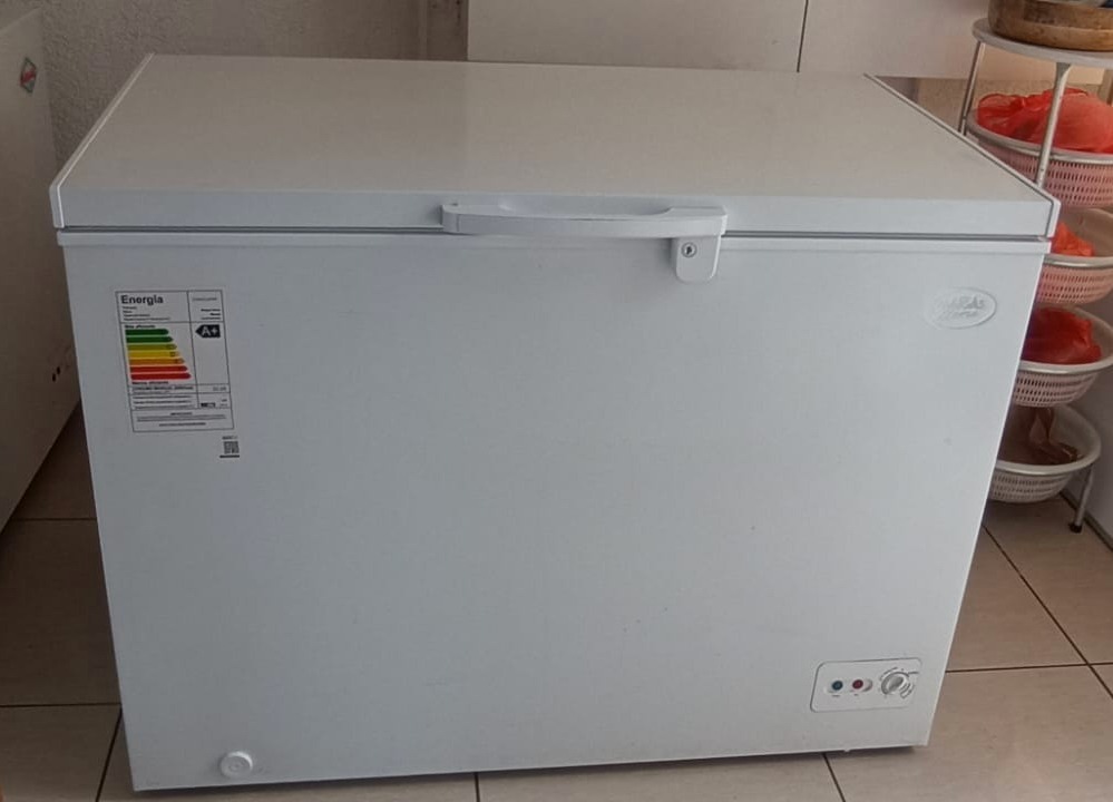 Congelador Maigas 295 lts