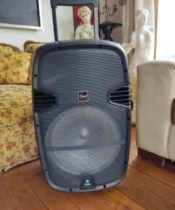 Parlante Bluetooth con Karaoke M Lab