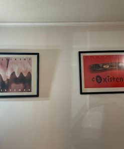 Cuadros "Coexistence"