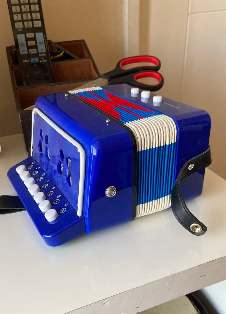 Acordeón para niños