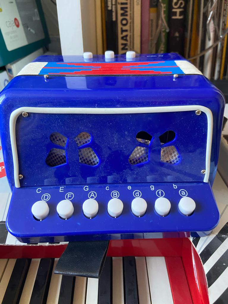 Acordeón para niños - Imagen 3