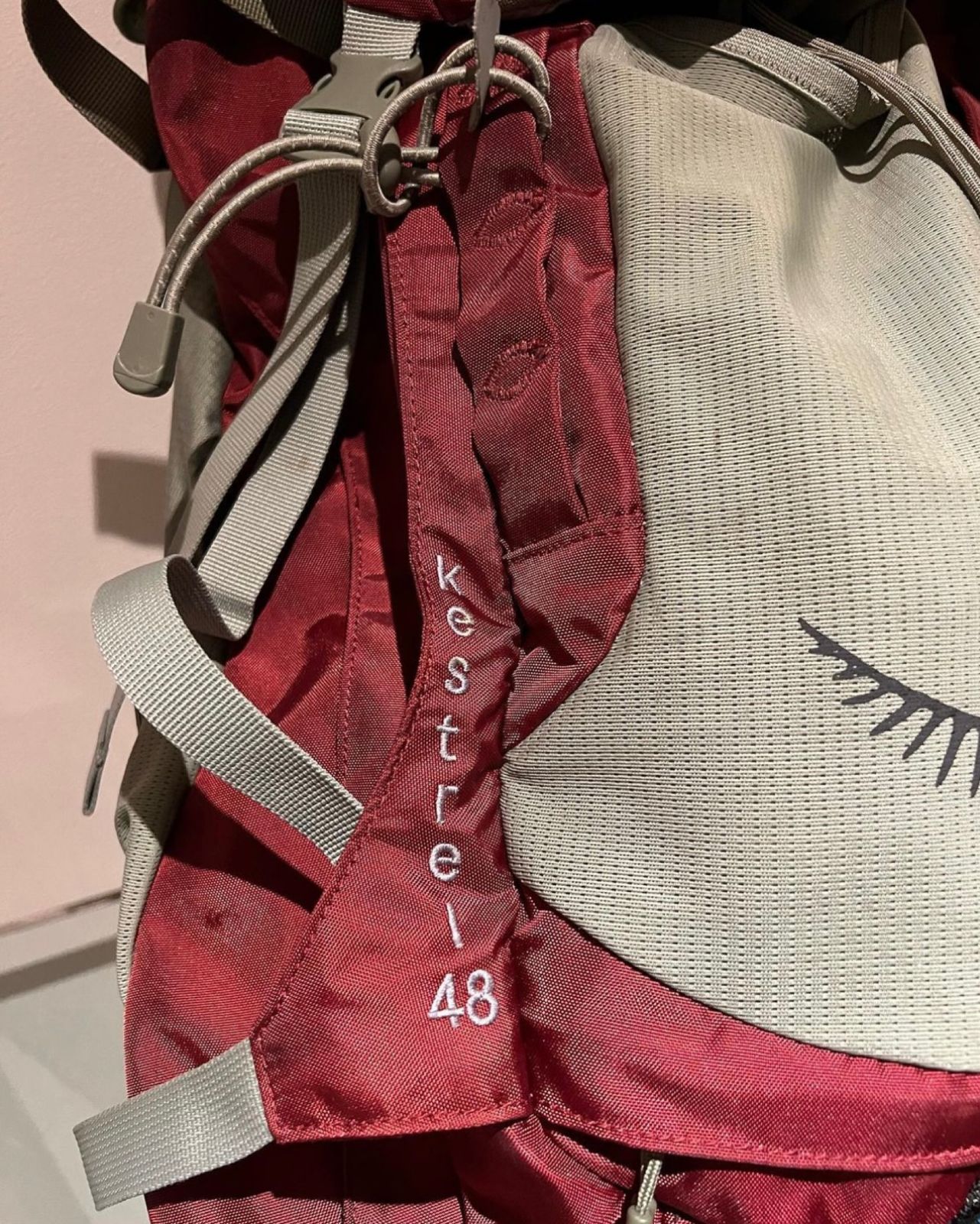 Mochila Osprey Kestrel 48 - Imagen 7