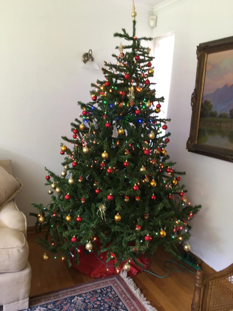 Árbol de navidad