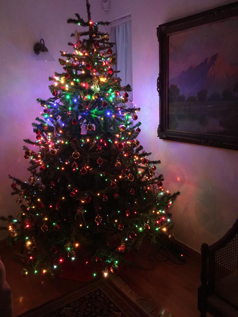 Árbol de navidad - Imagen 2