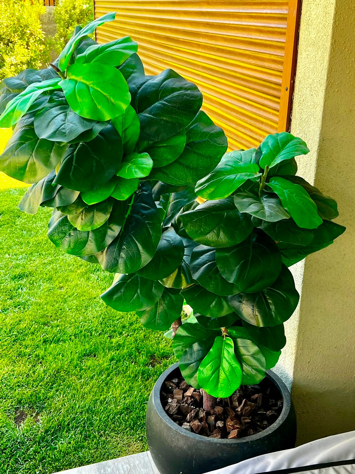 Ficus Lyrata artificial The Garden