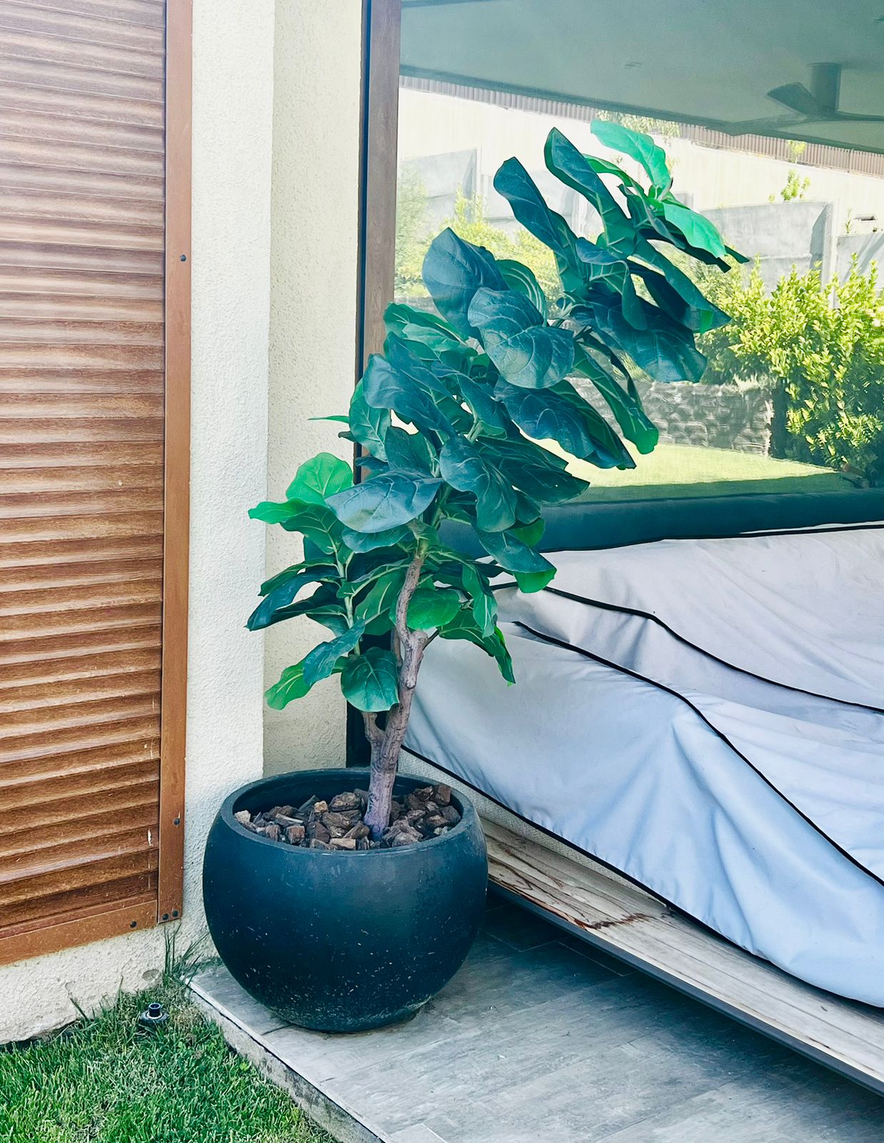 Ficus Lyrata artificial The Garden - Imagen 2