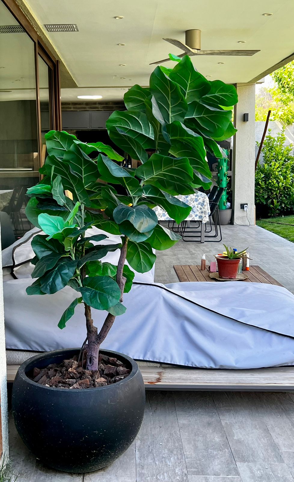 Ficus Lyrata artificial The Garden - Imagen 3