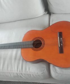 Guitarra Gastalia