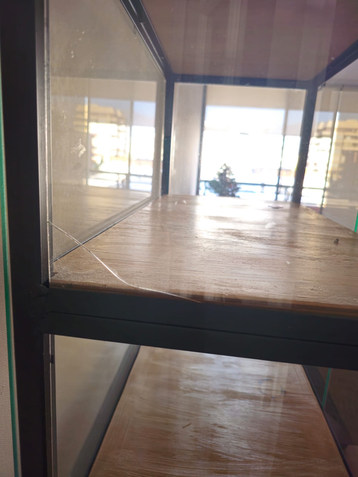 Vitrina vidrio y metal con repisas interiores madera - Imagen 2