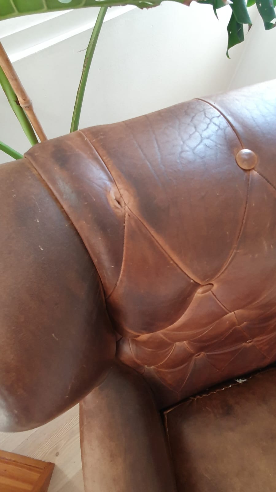 Bergere cuero capitone - Imagen 4
