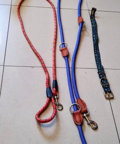 Correa doble de paseo + correa paseo + collar + bebedero portatil