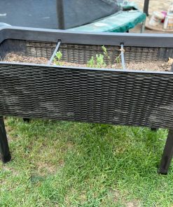 Maceta Easy Grow auto regante