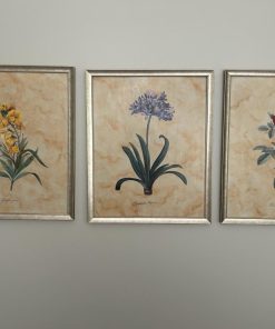 Set 3 cuadros flores Mimi Aguayo