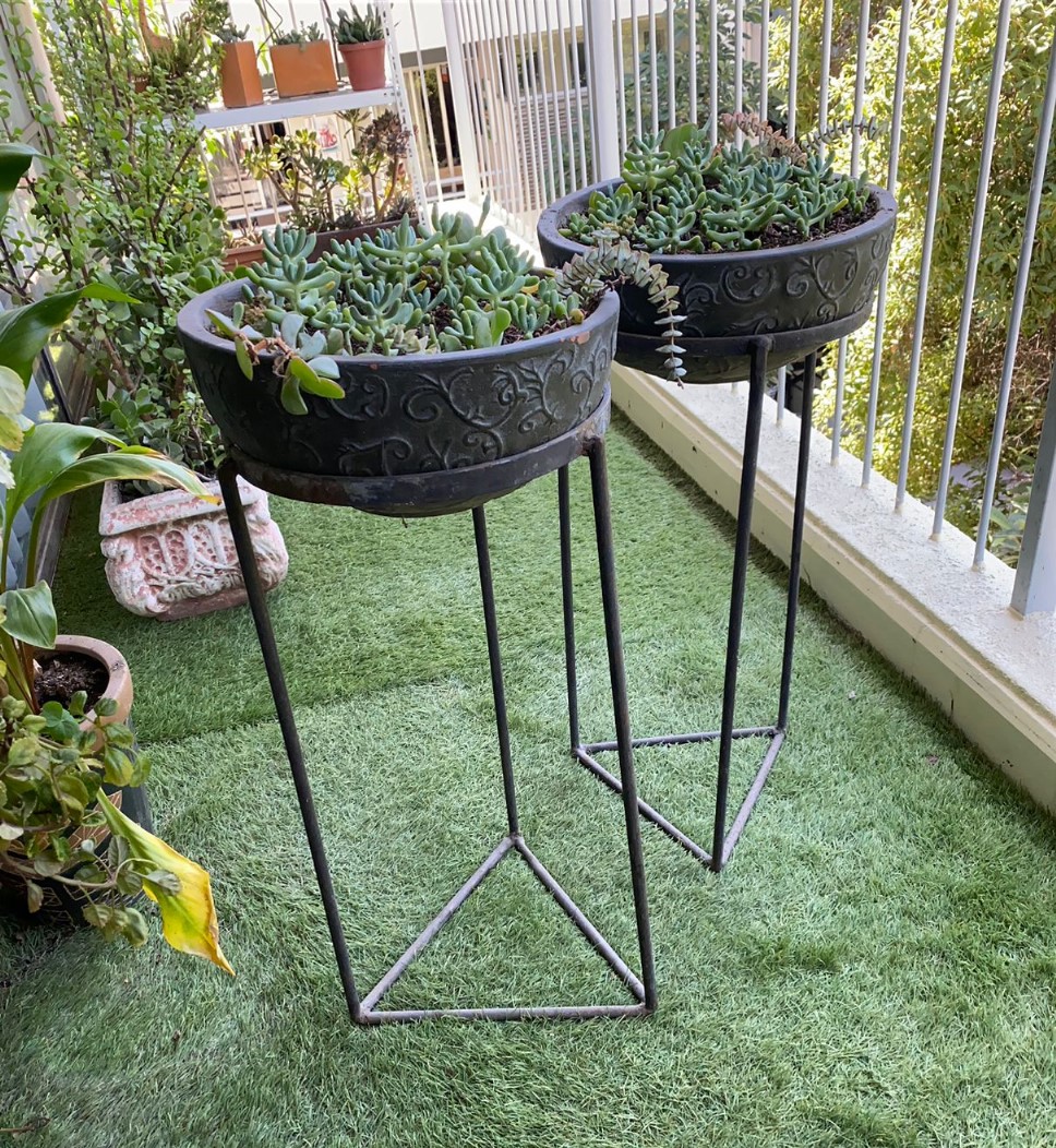 Suculentas en plantero fierro