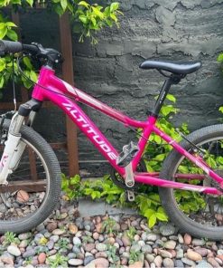 Bicicleta Altitude niña aro 20