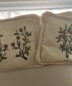 Par cojines bordados