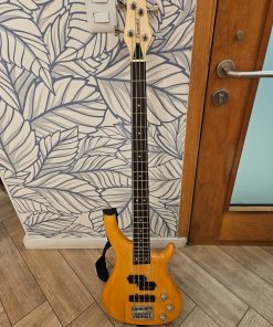 Bajo Giannini y amplificador Behringer