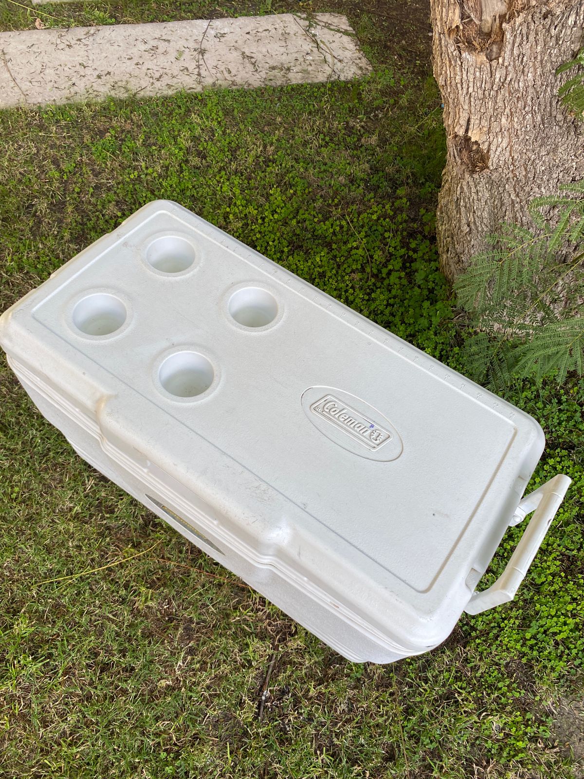 Cooler Coleman 66 Lts - Imagen 2