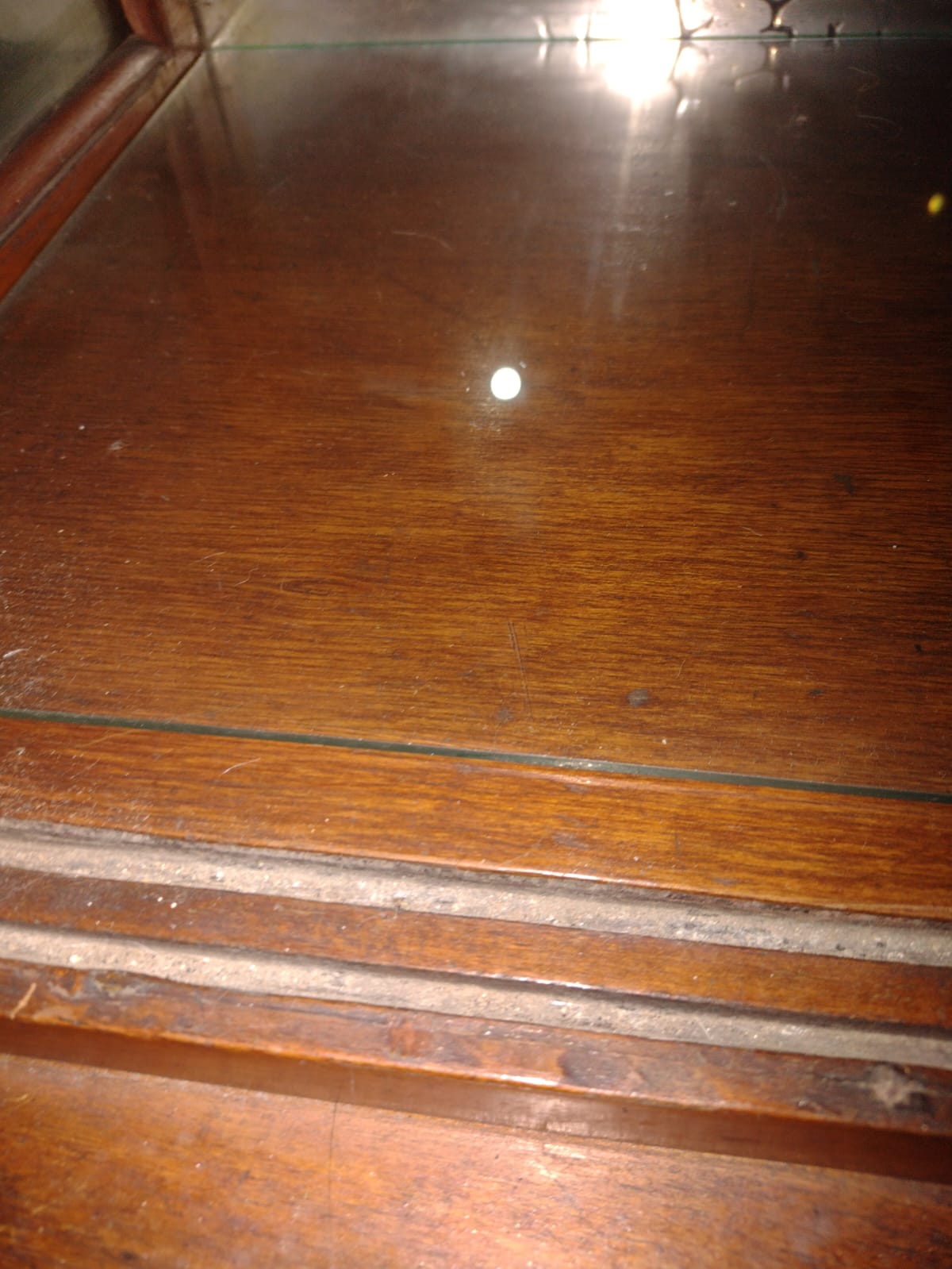 Vitrina Mimosa - Imagen 4