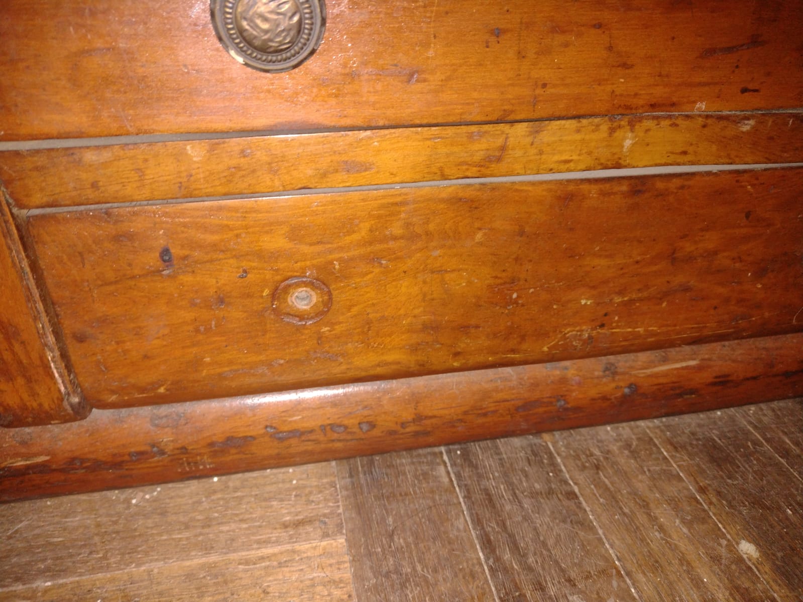 Vitrina Mimosa - Imagen 2