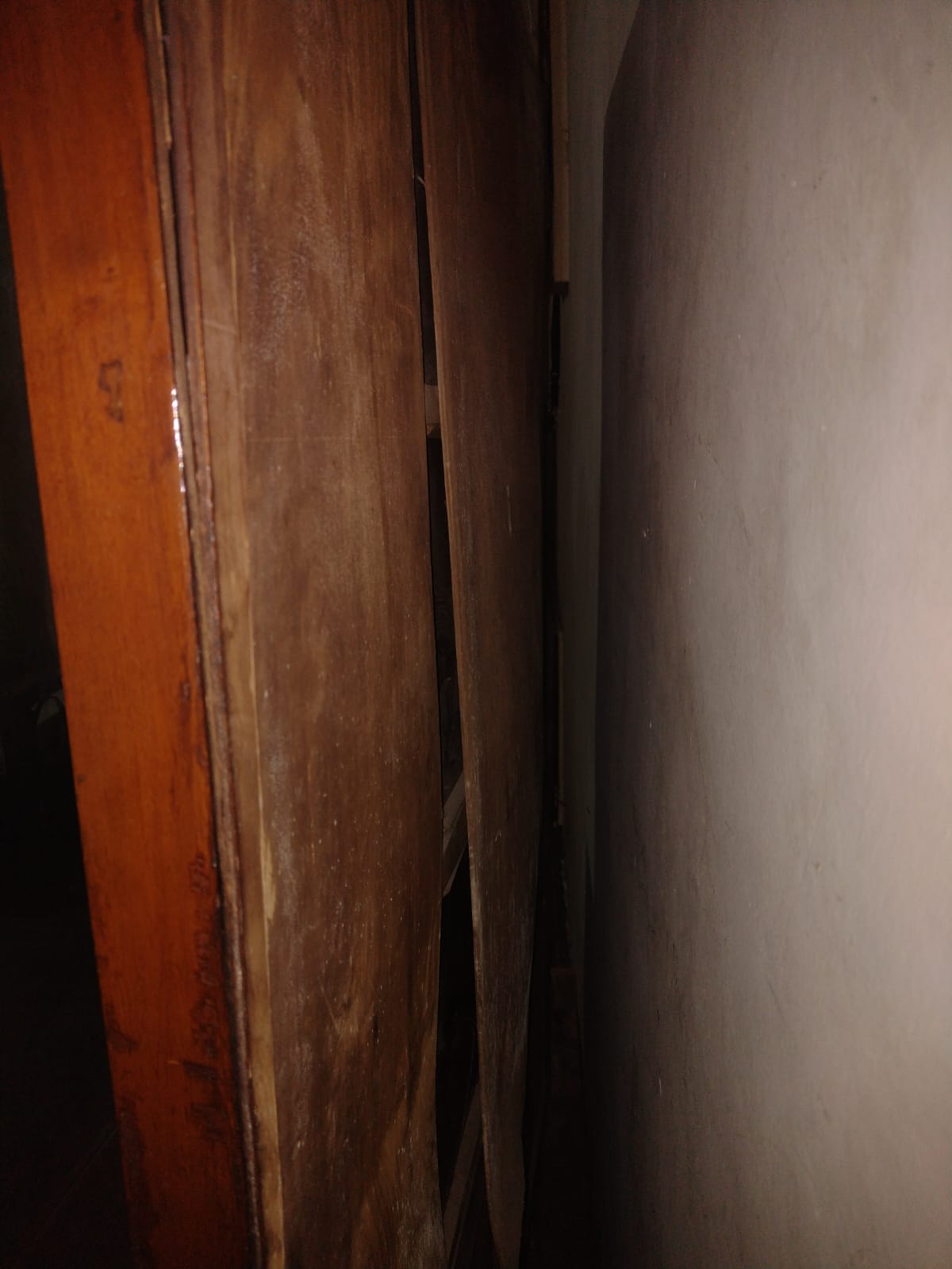 Vitrina Mimosa - Imagen 3