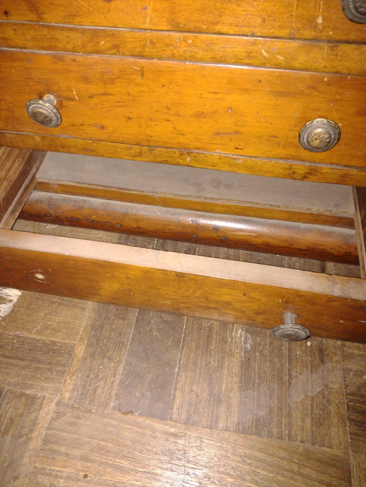 Vitrina Mimosa - Imagen 5