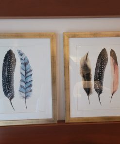 Cuadros plumas marco dorado
