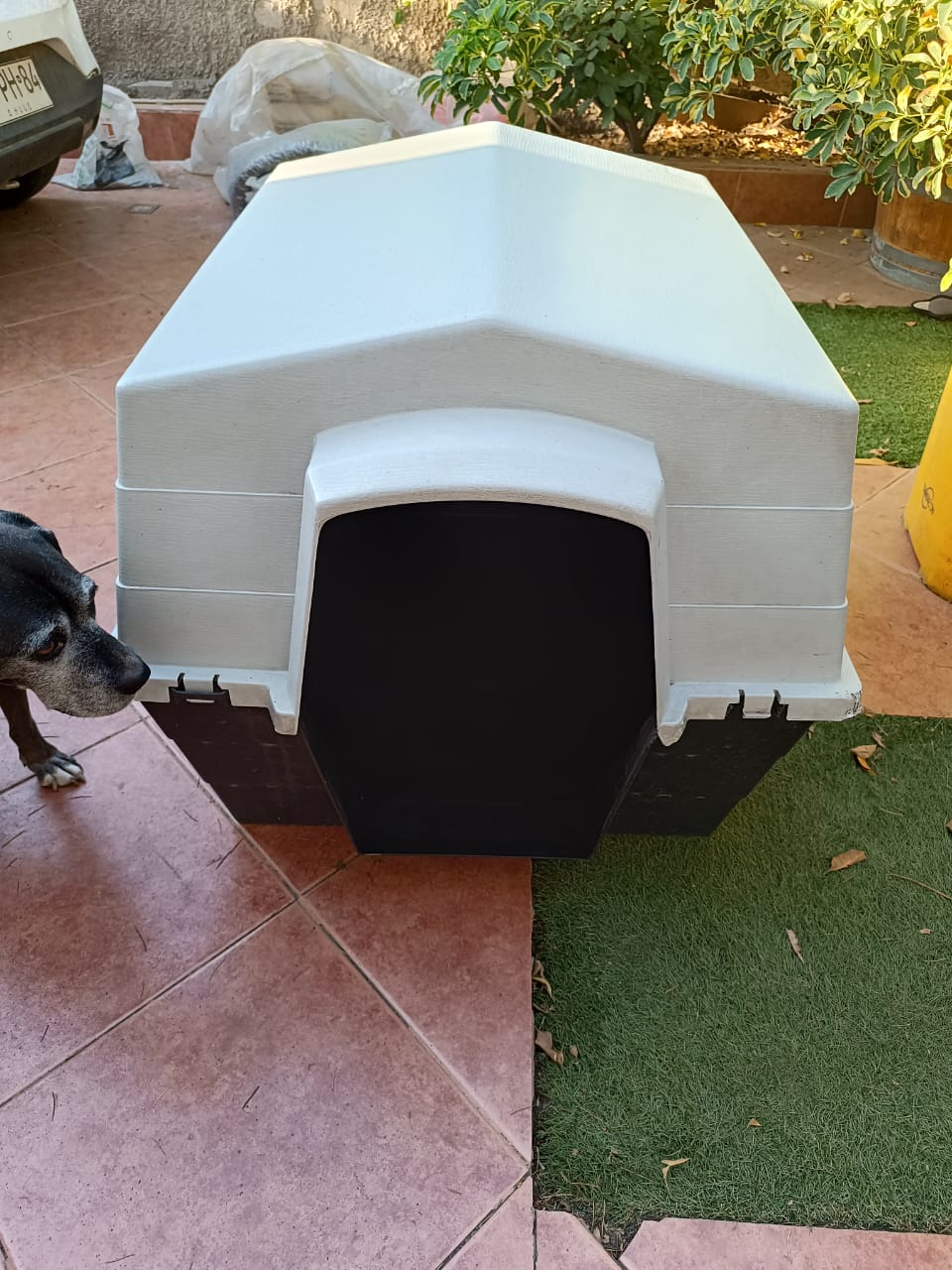 Casa de perro grande