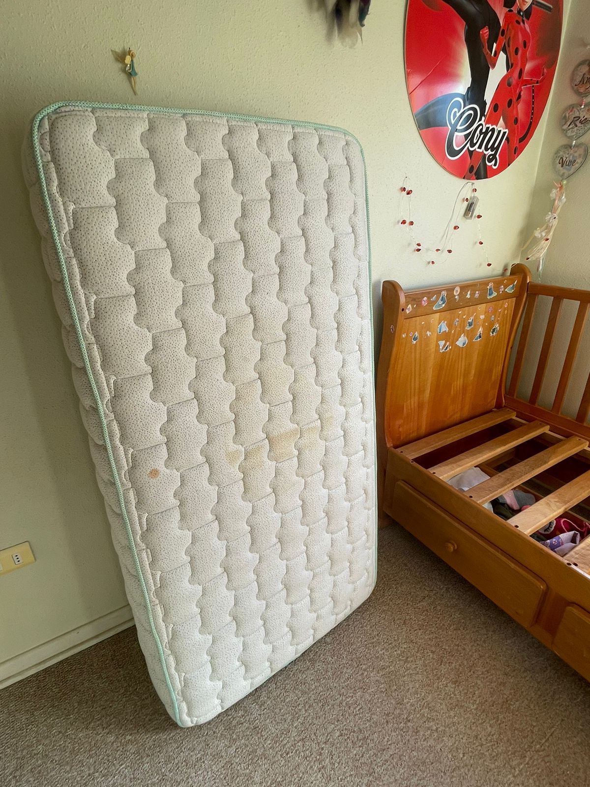 Cuna Raulí - Imagen 6