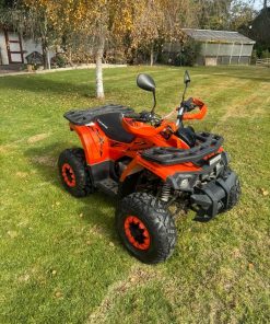 Cuatrimoto TAO MOTOR 125 cc