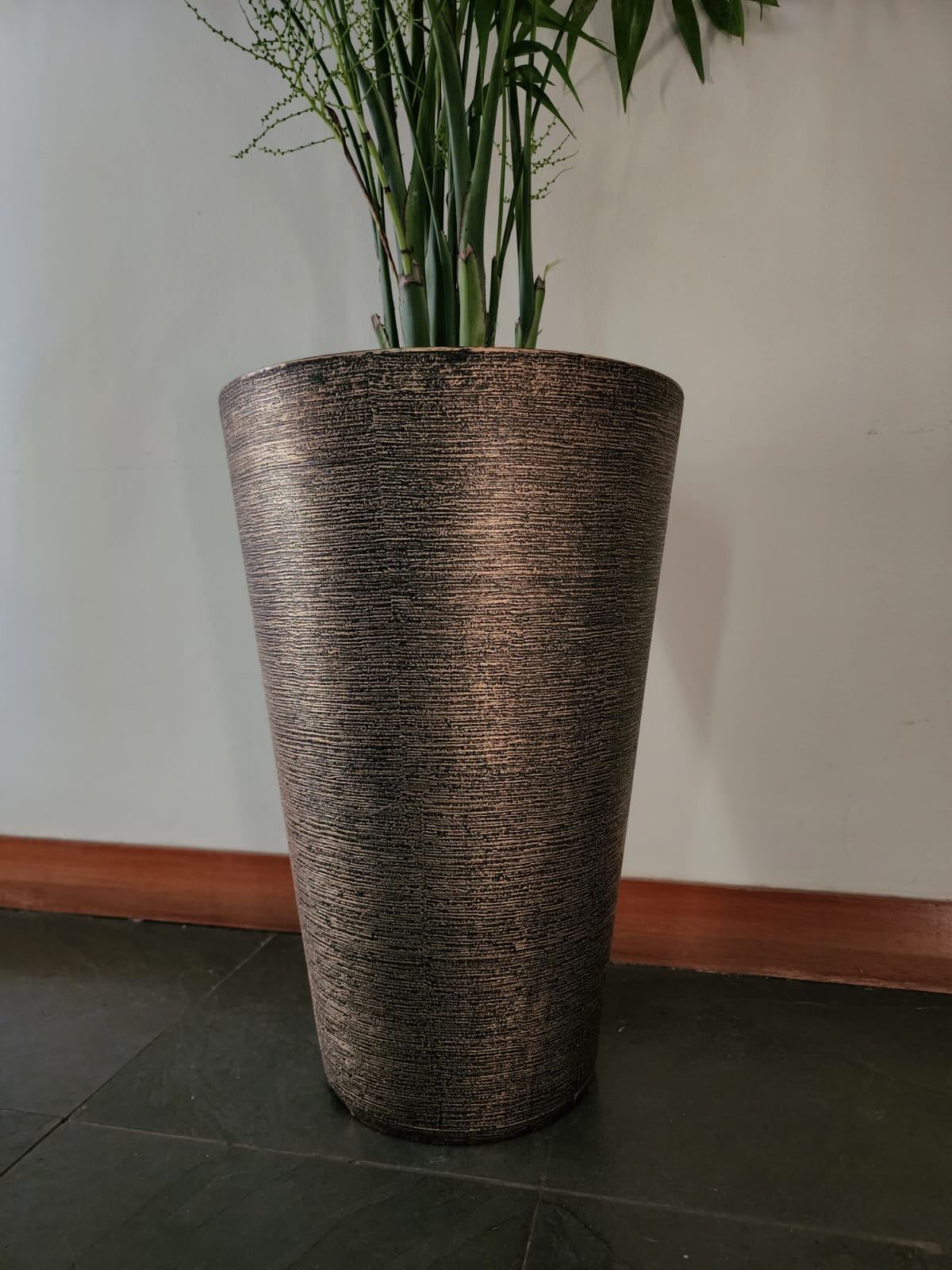 Chamaedorea Elegans en macetero Tubular dorado - Imagen 3