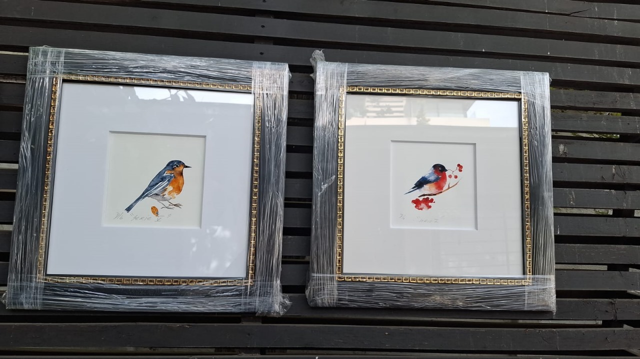 Cuadros decorativos aves