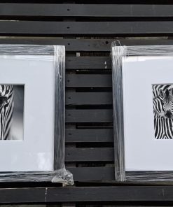 Cuadros decorativos blanco y negro