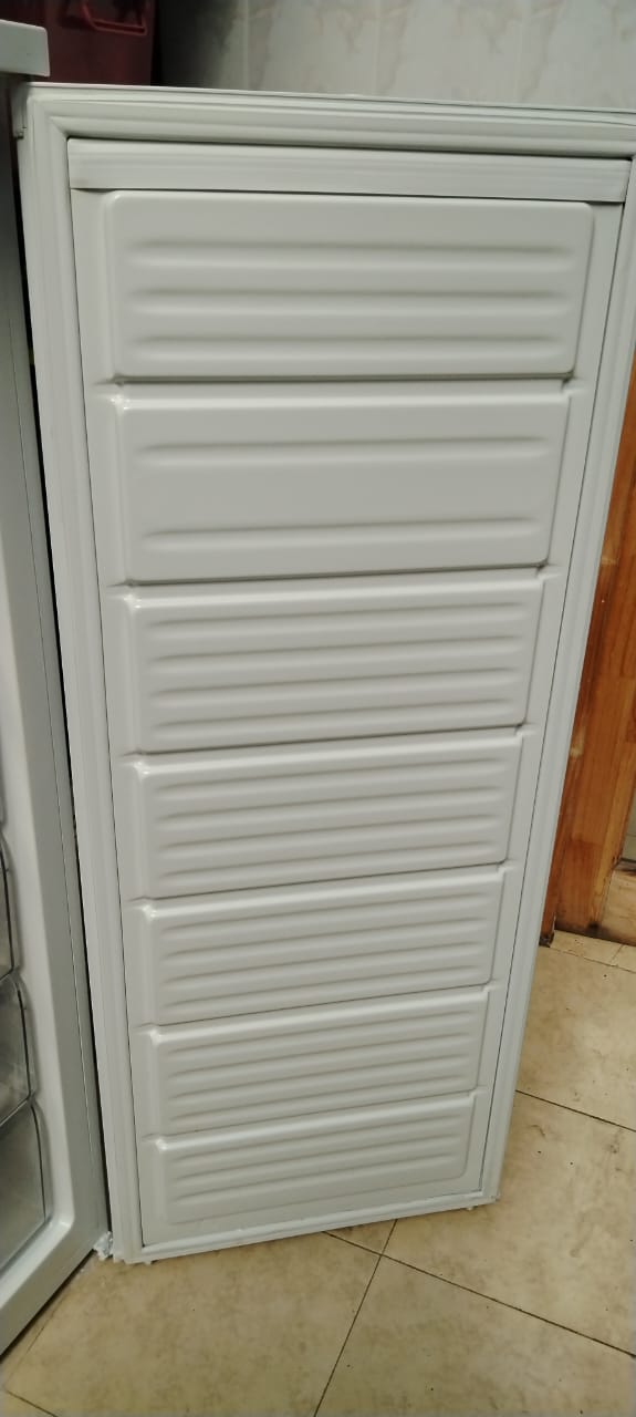 Congelador Mademsa 165 Lts - Imagen 2