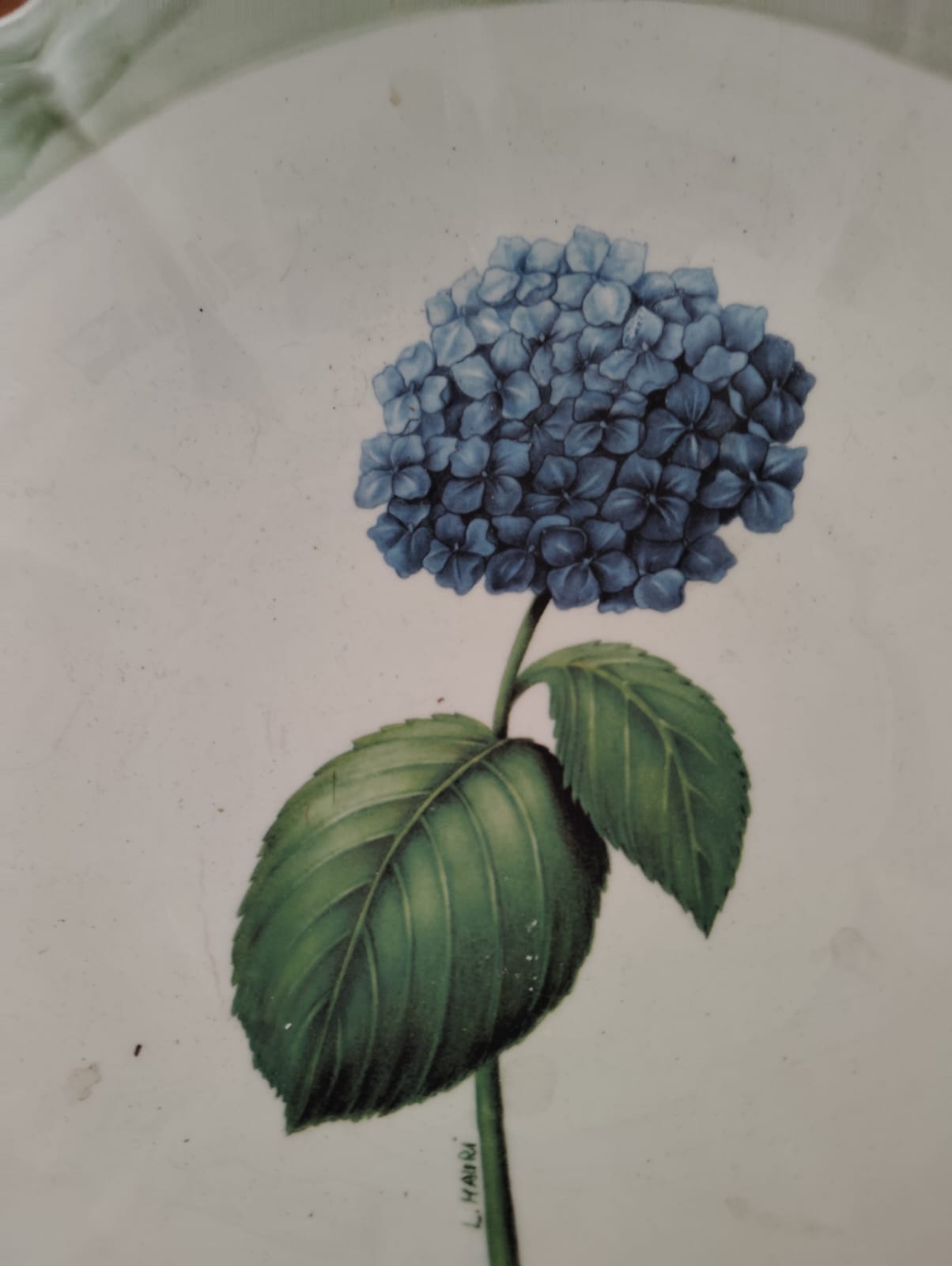 Bowl cerámica hortensia L. Mauri - Imagen 3