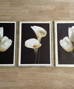 Set 3 cuadros flores