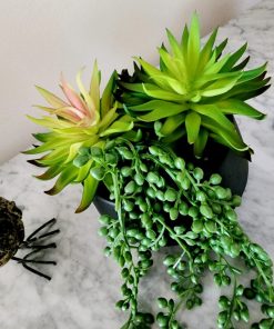 Arreglo artificial de suculentas