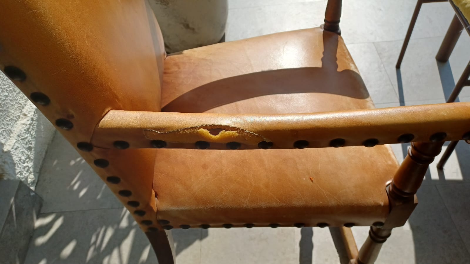 Juego de comedor madera 6 sillas y 2 sitiales - Imagen 12