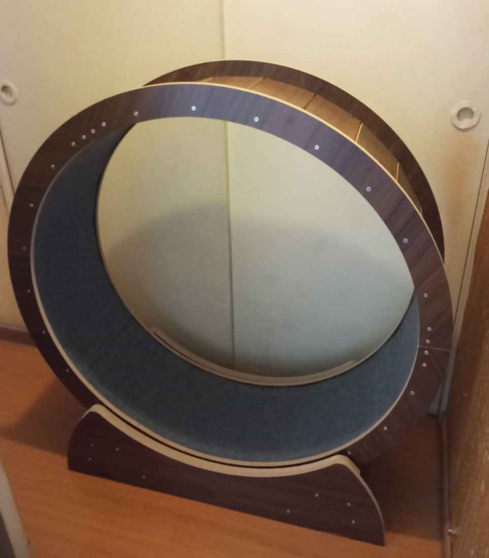 Rueda de ejercicio para gatos